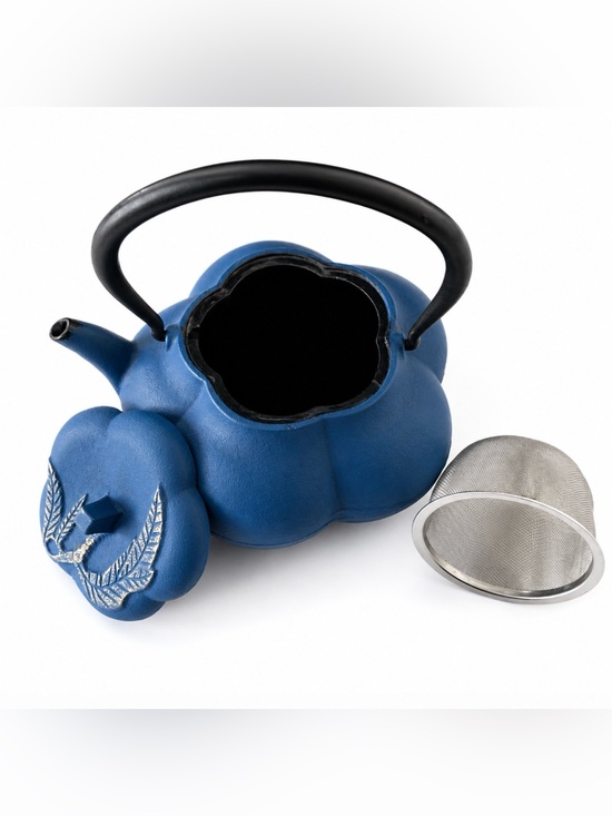 Source Unknown Other - Cast Iron Lidded Teapot with Infuser